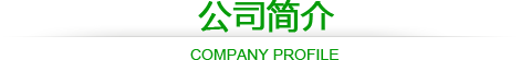 公司介绍